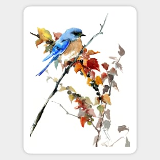 Eastern Bluebird Sticker